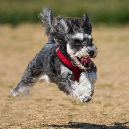 河野慈圓が撮影した「:albumName」の写真