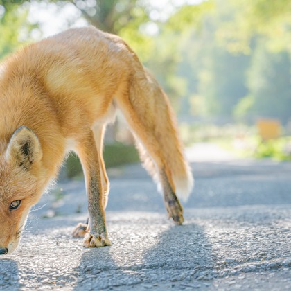 高木勇斗が撮影したその他の写真
