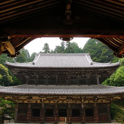 河野慈圓が撮影した「建築関係」の写真