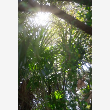 Tak Ogawa photographerが撮影したイベント/スナップ撮影の写真