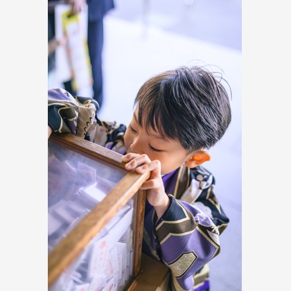 佐藤 葵が撮影した「:albumName」の写真