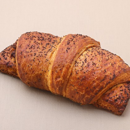 森安　照が撮影した「:albumName」の写真