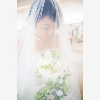 studio HATOYAが撮影した「:albumName」の写真