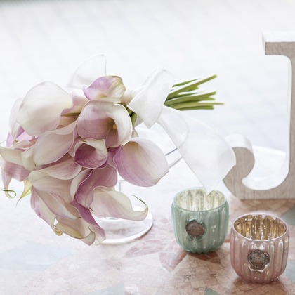 末安 善之が撮影した「:albumName」の写真