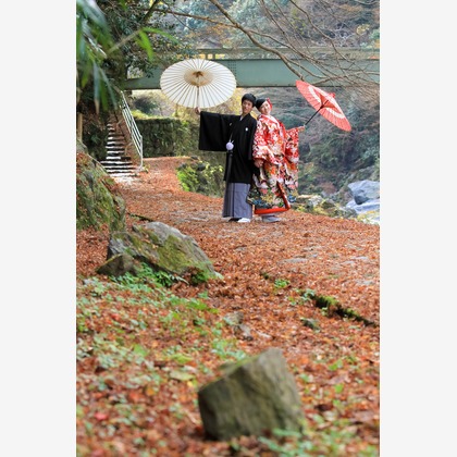 Photo of :albumName taken by Smilehunter