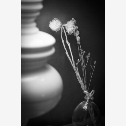 Photo of Bridal @ Hotel, Shrine taken by A&Y写真OFFICE