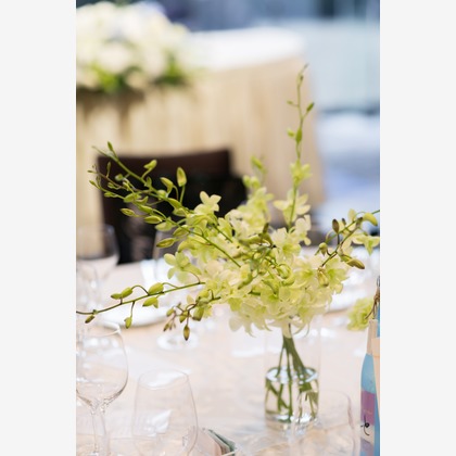 Yuki Shimada Photographyが撮影した「:albumName」の写真