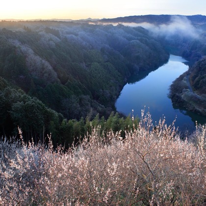 蛭子真写真事務所が撮影したウェディングや家族、ビジネスの写真