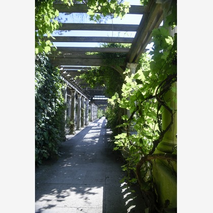 Lucky Sliver Sixpenceが撮影した「プラン名：Romantic Park(ロケーション参考写真）」の写真