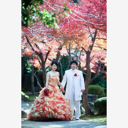 KIKIウェディングが撮影したウェディングや家族、ビジネスの写真