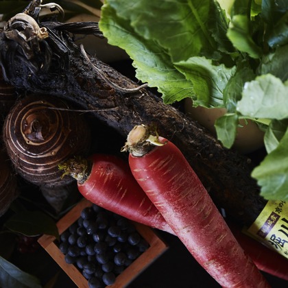 kiharu&photoが撮影した「:albumName」の写真