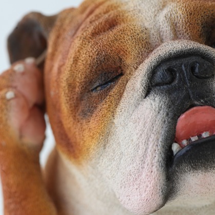 長谷部ナオキチが撮影した「:albumName」の写真