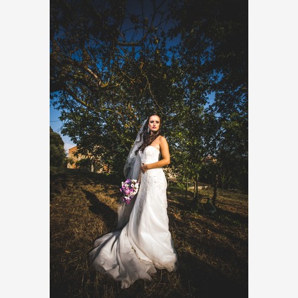 Photo of :albumName taken by FotoStradaFacendo