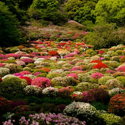 Feel So High! Kenichi Morinaga photography（森永 健一）が撮影したウェディングや家族、ビジネスの写真