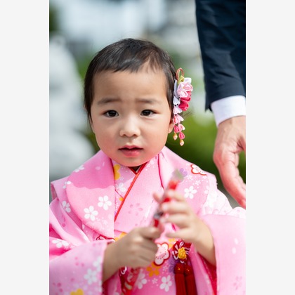 佐藤政彦が撮影したウェディングや家族、ビジネスの写真