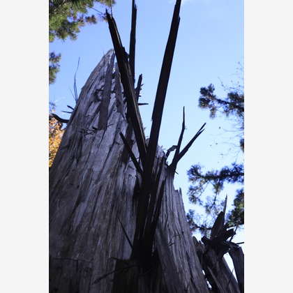 写真屋gonree　阿波根里恵が撮影した旅行先の記念撮影の写真