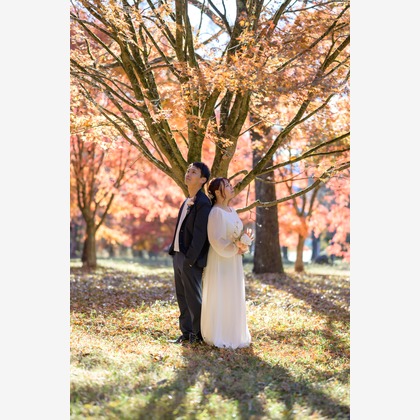 Photo of :albumName taken by 佐野光太郎