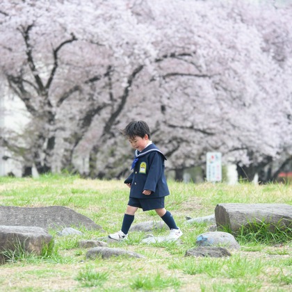 アラタンホヤガが撮影した「:albumName」の写真