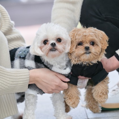 後藤豊陽が撮影したウェディングや家族、ビジネスの写真