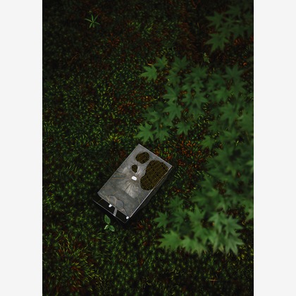 kiharu&photoが撮影した「:albumName」の写真