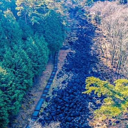 リトルダイナソーが撮影したその他/イベント/スナップ撮影の写真