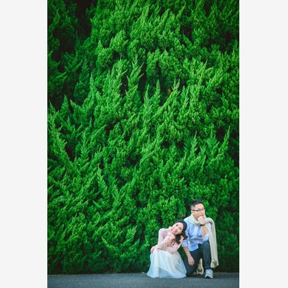 8StarWeddingが撮影した「:albumName」の写真