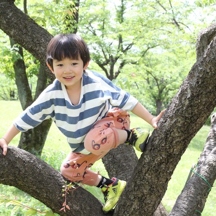 森安　照が撮影したウェディングや家族、ビジネスの写真