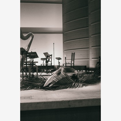 大坪幹武が撮影したウェディングや家族、ビジネスの写真