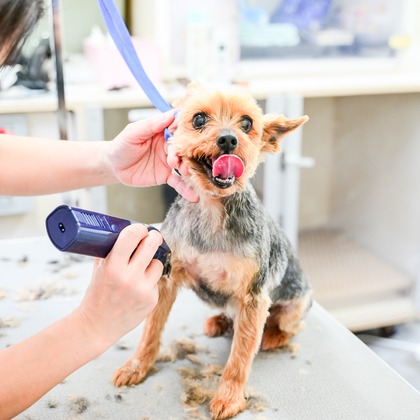 出張撮影 中村まみこが撮影した店舗/オフィス/サロン撮影の写真