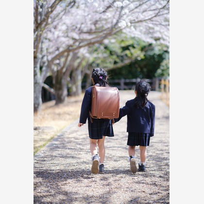 高夏写真店が出張撮影した荷物とバッグ, 記念写真, 家族写真が写った学校行事の写真
