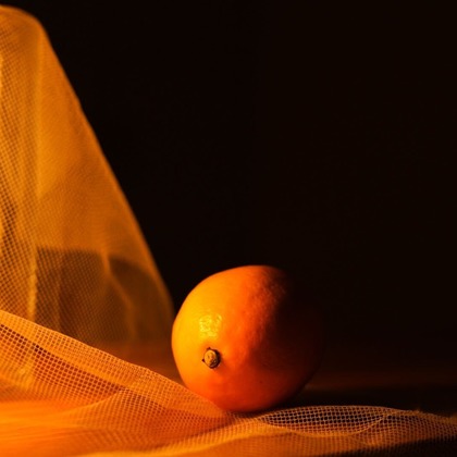 コウヤマレイナが撮影した商品/物撮りの写真