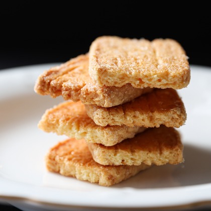 手塚大介が撮影した「:albumName」の写真