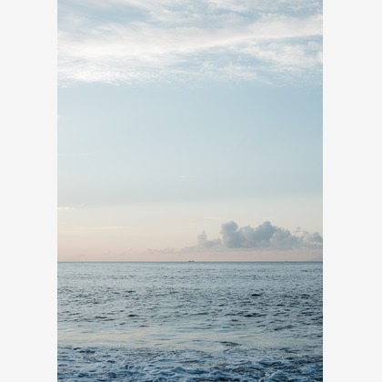 有限会社ワイヤリングが撮影した「:albumName」の写真