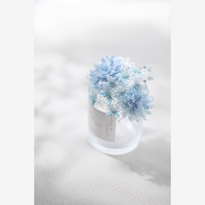 HIBI綴じ写真が撮影した「:albumName」の写真