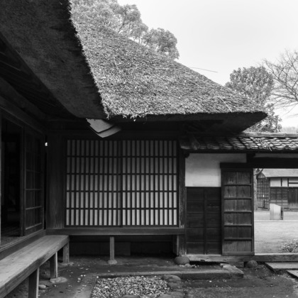 尾田信介が撮影した「:albumName」の写真