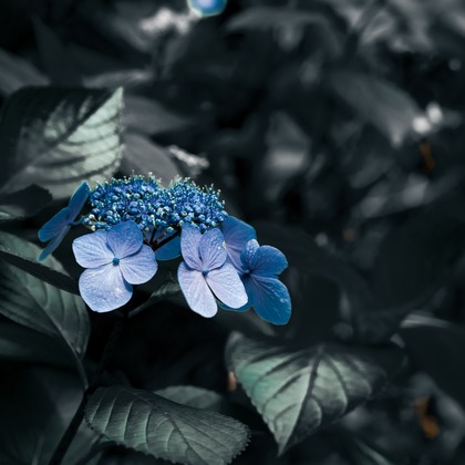 堀内 陽希が撮影したイベント/スナップ撮影の写真