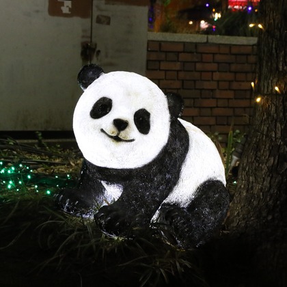 ＮＫ フォトエージェンシーが撮影したその他の写真