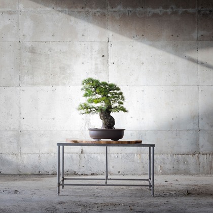 梅田　紫邑が撮影した商品/物撮りの写真