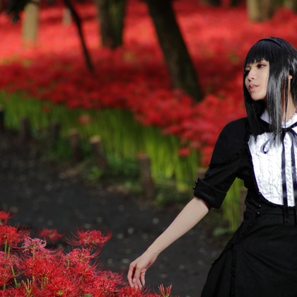 Creative Brand　Crows Nestが撮影した「:albumName」の写真