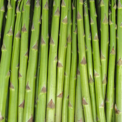 oryo studioが撮影したウェディングや家族、ビジネスの写真