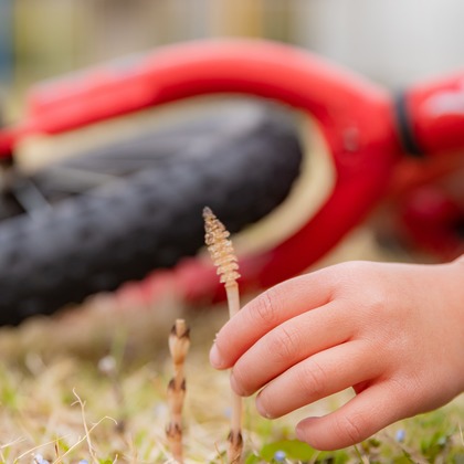 上ノ園　芳樹が撮影した「:albumName」の写真