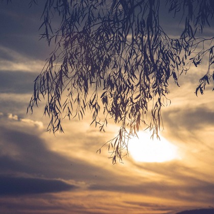 Sunstore 三條康貴が撮影したウェディングや家族、ビジネスの写真