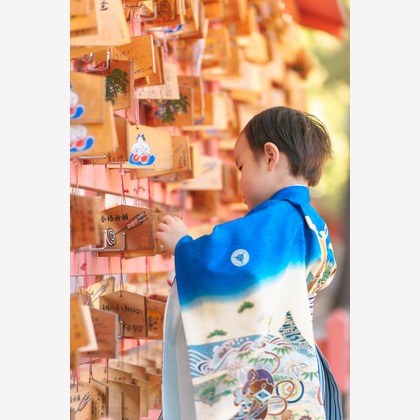 山田由佳が撮影した「:albumName」の写真