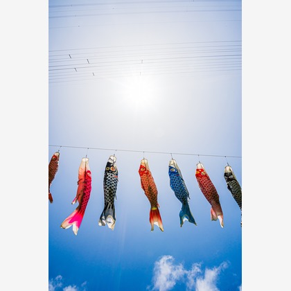 高木勇斗が撮影したその他の写真