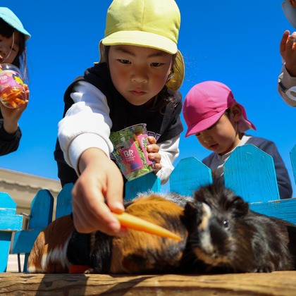 WithshopJapanが撮影した「:albumName」の写真