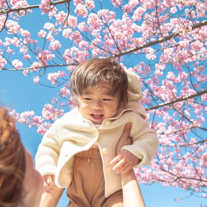 ゆのみふぉとが出張撮影した自然の中の人々, 手をつないで, 友情などが写った「桜とお写真」の家族写真