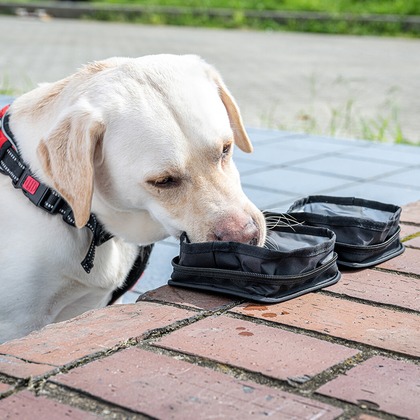 吉田佳央が撮影した「:albumName」の写真