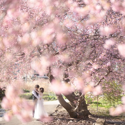 石田誠写真事務所が撮影した「:albumName」の写真