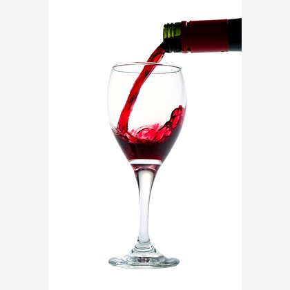 studio white alice 五十嵐啓が撮影した料理撮影の写真