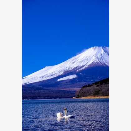 スタジオファンタスが撮影した「:albumName」の写真